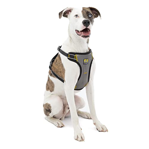Kurgo Impact Arnés de Coche para Perros, A Prueba...