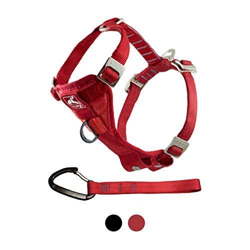 Kurgo Tru-Fit Arnés para Perro, Arnés de Paseo...