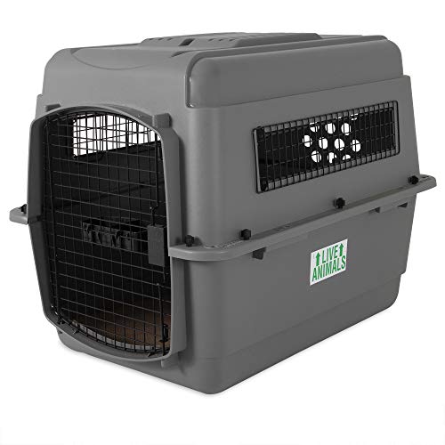 Petmate - Sky Kennel - Transportín para Mascotas...