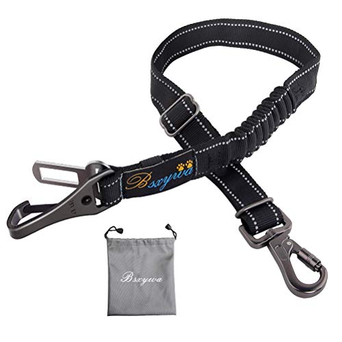 Cinturón de seguridad para perros Vacaciones