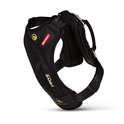 EzyDog Arnes Coche Perro Homologado - Cinturón De...