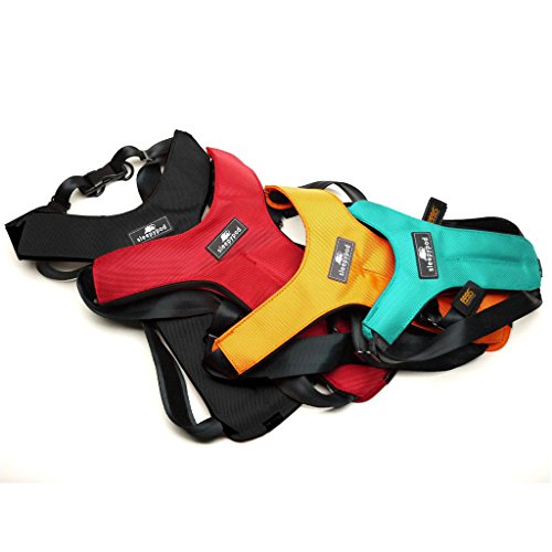 Sleepypod Clickit Sport - Arnés de Coche para...